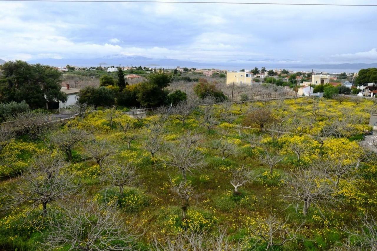 Villa Konstantinos Aegina Zewnętrze zdjęcie